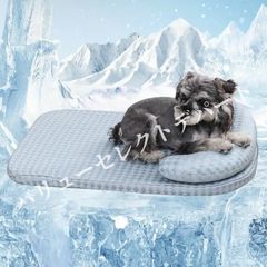 Item thumbnail for item 012aee08-b175-4ea0-816b-593eab34b439