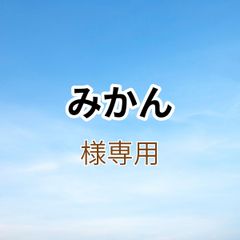 みかん様専用出品です。