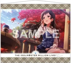 アイドルマスター STELLA STAGE B2ポスター 非売品 アイドルマスター20th特別生配信 公式B2ポスター (アイドル