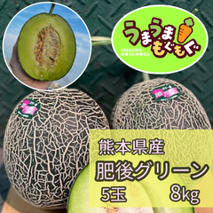 【数量限定品】熊本県産　肥後グリーンメロン　8kg（5玉） メロン　めろん　肥後グリーン