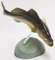 【中古】トレーディングフィギュア スズキ 「原色海水魚図鑑 II」のサムネイル