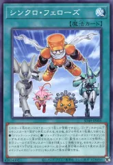 2026年最新】シンクロ・フェローズの人気アイテム - メルカリ