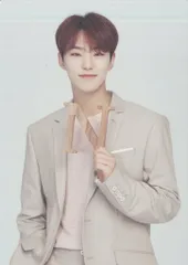 SEVENTEEN 2019 ODE to You IN JAPAN HOSHI トレーディングカード 0109