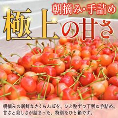 【2025年6月中旬以降順次発送】 山形県産 さくらんぼ 佐藤錦 優品 バラ詰め 700g 東北ECグローバル【TG】