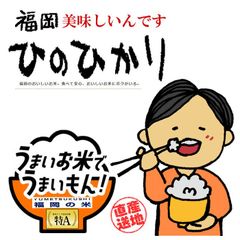 令和4年産新米  福岡県産ヒノヒカリ白米10kg 美味しい ひのひかり 送料無料