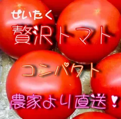 贅沢トマト(ぜいたくとまと)！農家👩‍🌾直送！フルーツトマト！コンパクト！