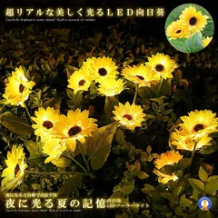 るひま ガチャ 【松田岳】※バラ売り可 2025年最新】る・ひまわりの人気アイテム - メルカリ