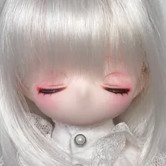 2025年最新】tinyfox ヘッドの人気アイテム - メルカリ