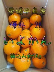 いよかん　優品2L　箱込み約5Kg.