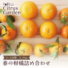 旬の柑橘 詰め合わせ 2.5kg 今が旬の様々な柑橘から3〜4種類 ワックス不使用なので安心・安全な品質 送料無料 ご家庭用 みかん フルーツ 果物