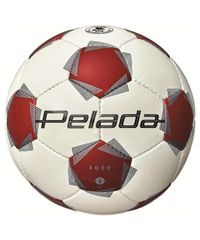 Item thumbnail for item bfbf1d09-6edb-41d9-82af-b0785fffcffd