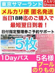 お得！ 東京 サマーランド【9名様】1DAYパス 《プール・遊園地