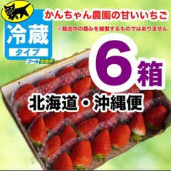 クール6箱【北海道・沖縄便】愛媛県産新鮮朝採りいちごのサムネイル