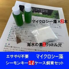 餌やり不要／楽々シーモンキー飼育【マイクロシー藻１リットルケース飼育セット】