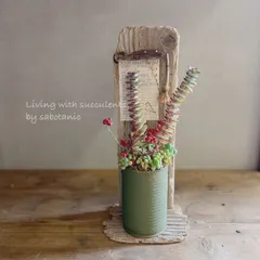 ペイント缶の寄せ植え 流木棚セット ジャンクガーデン