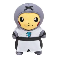 匿名配送｜ポケモン　悪の組織関連9点まとめ売り　ポケモンセンター限定 ポケモンセンターのお姉さん 027/031｜ポケカシングルカード通販