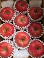【CA冷蔵品・シャキシャキ】青森県産りんご「有袋ふじ」家庭用 キズ有 約3kg【クール配送】