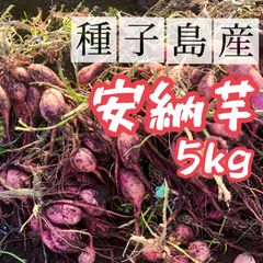 種子島産 安納芋　減農薬 熟成済み