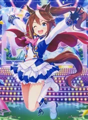 最終値下げ トウカイテイオー 等身大タペストリー アニメイト限定（中古） 2025年最新】トウカイテイオー タペストリーの人気アイテム