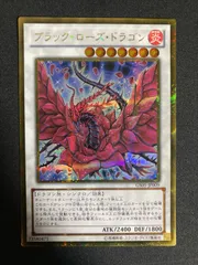 2025年最新】ブラックローズドラゴン 20thの人気アイテム - メルカリ