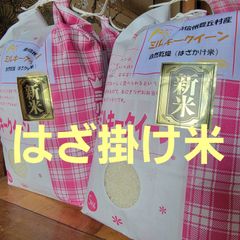 ●ミルキークイーン●  はざかけ米  5キロのサムネイル