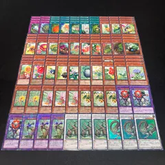 遊戯王 No.4169 ナチュル DT デッキパーツ 大量セット 2025年