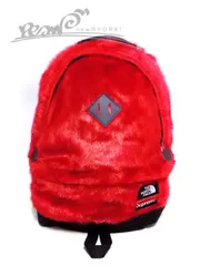 シュプリーム ノースフェイスコラボバックパック se810r