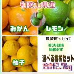 【ご家庭用】和歌山県産みかん・柚子・レモン選べる柑橘2.7kg詰め合わせセット