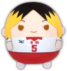 ！！専用！！ 【未開封】ハイキュー 孤爪研磨 ふわコロりん 17点まとめ売り 2025年最新】孤爪研磨ふわコロりんの人気アイテム - メルカリ