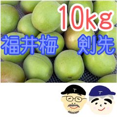 宮崎県産摘果マンゴー 10kg 大きめ - メルカリ