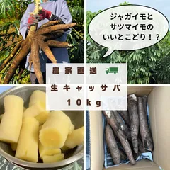 2025年最新】キャッサバ黄色種の人気アイテム - メルカリ