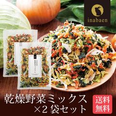 【2個セット】日本橋いなば園 九州産野菜使用 乾燥野菜ミックス 100g ネコポス メール便送料無料