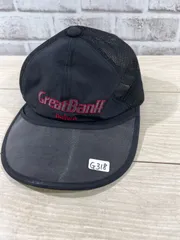 2025年最新】DAIWA GREAT BANFFの人気アイテム - メルカリ