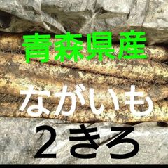 送料無料　ながいも　長芋　２きろ　青森県産　宅急便のサムネイル