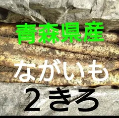 送料無料　産地直送　ながいも　長芋　２きろ　青森県産　宅急便のサムネイル