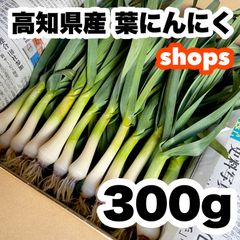 高知県特産‼️葉ニンニク 300g 即購入OK