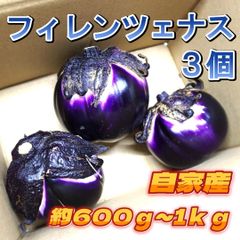 A-STYLE　ヴィオレッタ・ディ・フィレンツェナス 自家産 3 農家直送品ショップアカウントではゆうゆうメルカリ便で送れないため沖縄への発送は出来かねます、個人アカウントよりご購入頂けましたら発送可能ですので出品致しましたらそちらよりよろしくお願いいたします