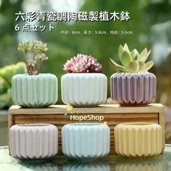 陶磁製六彩青瓷調植木鉢 6 点セット - 多肉植物・サボテン栽培に最適