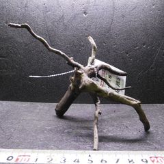 枝流木　リベラ　ウッドルーツＳ　1点物　No.152　天然　デルフィス　アク抜き済み　レイアウト　アクアリウム　RIVERA