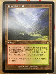 2025年最新】樹木茂る山麓 mtgの人気アイテム - メルカリ