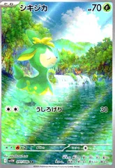 2025年最新】シキジカ arの人気アイテム - メルカリ