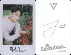 【中古】コレクションカード(男性) SEVENTEEN/JOSHUA(ジョシュア)/しゃがみ・衣装ピンク・右手花/CD「Love ＆ Letter repackage album」封入特典トレカ