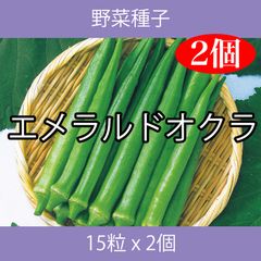 野菜種子 EAR エメラルドオクラ 15粒 x 2個