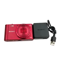 SONY デジカメ DSC-WX300 光学ズーム20倍 18.2M pixel SONY デジカメ DSC-WX300 光学ズーム20倍 18.2M pixel