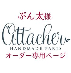 ぶん太様専用　ネコポス　oet002×2