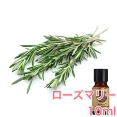 ローズマリー 10ml×1本 エッセンシャルオイル アロマオイル 無希釈 天然 無添加 アロマストーン アロマディフューザー 芳香 ルームフレグランス 香水