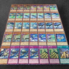 機獣デッキパーツ 遊戯王 壊獣デッキ 遊戯王] 壊獣 デッキ パーツ 48枚[即決]D-859