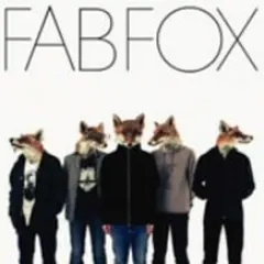 フジファブリック FAB FOX レコード 未開封 2025年最新】フジファブリック fab foxの人気アイテム - メルカリ
