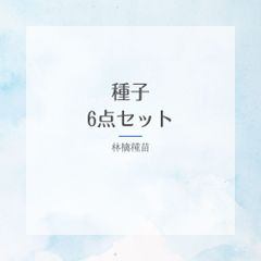 【種】おまとめ6点セット　おまとめ割