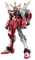2025年最新】MG 1/100 インフィニットジャスティスガンダム